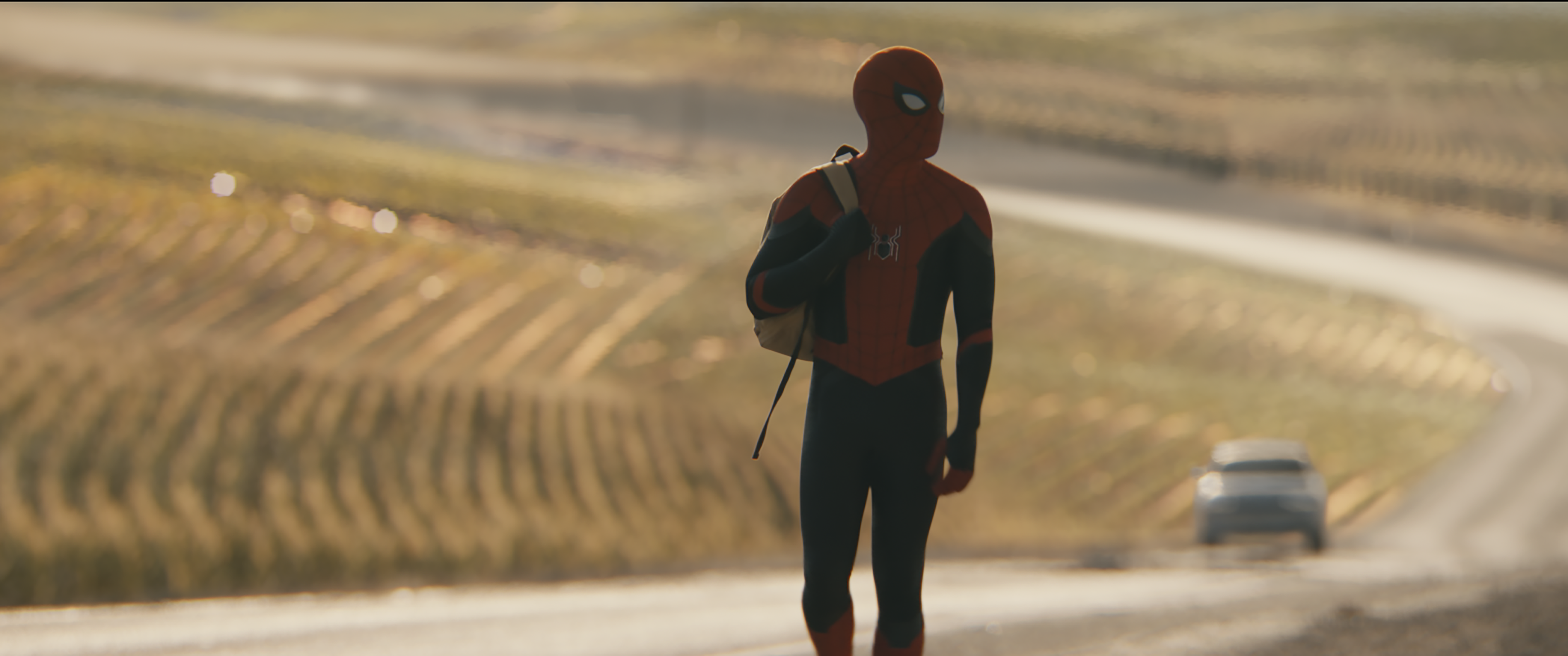 Spider-man Heroic